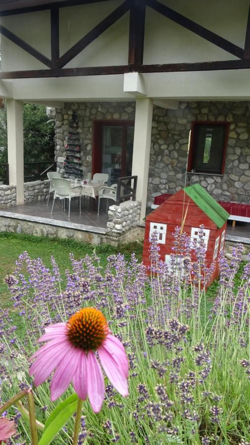 Chalet Mila Mavrovo Exterior photo