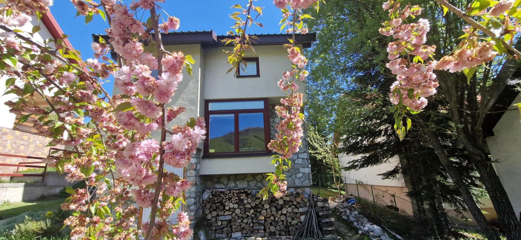 Chalet Mila Mavrovo Exterior photo